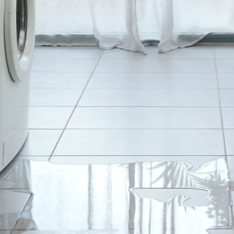 Appliance Leak Cleanup in Chicago Loop, IL