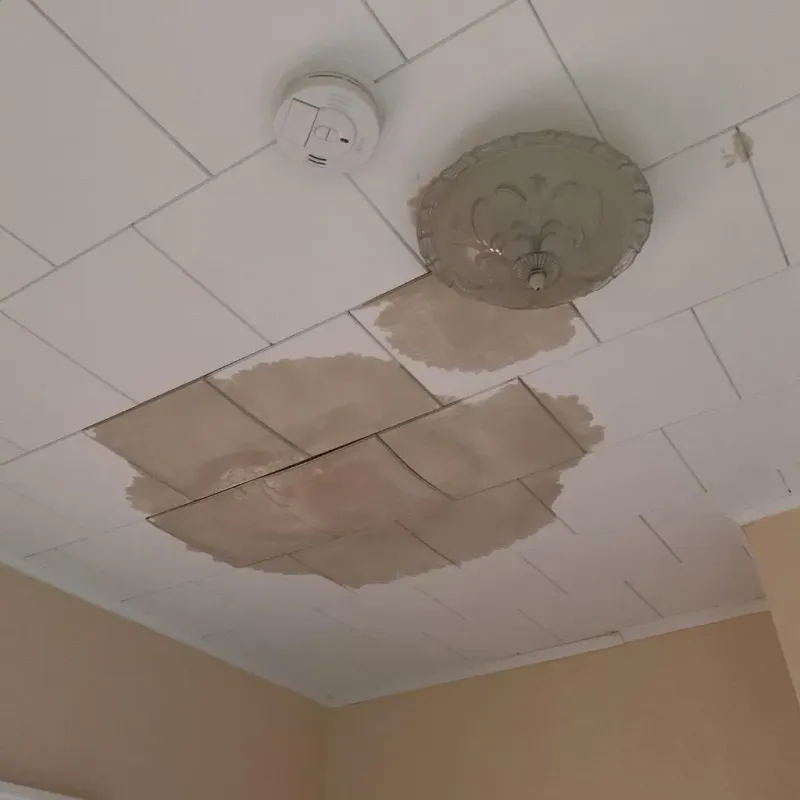 Ceiling Water Damage Repair in Chicago Loop, IL