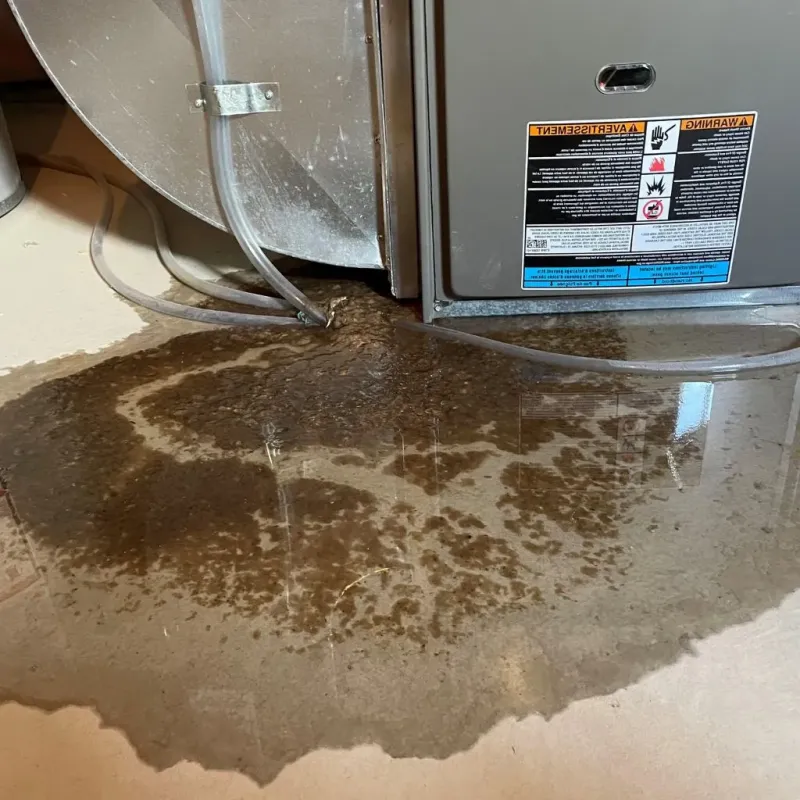 Pipe Burst and Leak Restoration in Chicago Loop, IL