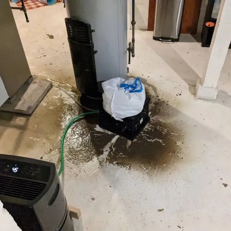 Sewage Backup Cleanup Service in Chicago Loop, IL